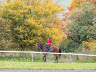 AK021025-78 - Believitanducan